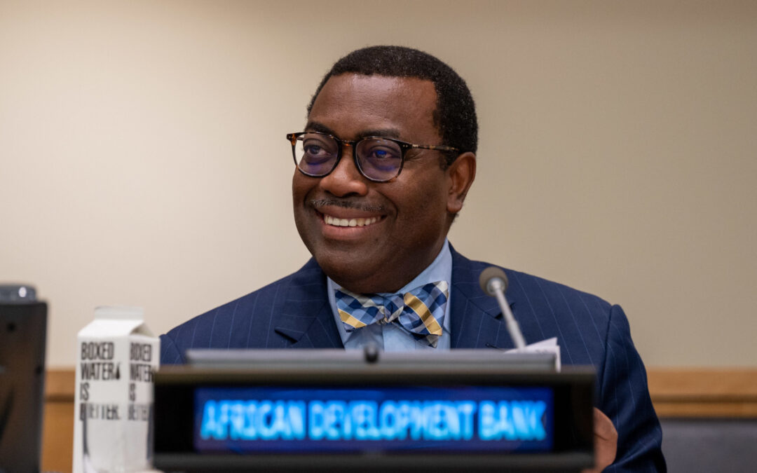African Development Bank President Calls for Increased Climate Finance in Africa