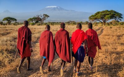 Land Dispute Engulfs Ololosokwan: Struggle for Ownership Amidst the Serengeti’s Beauty