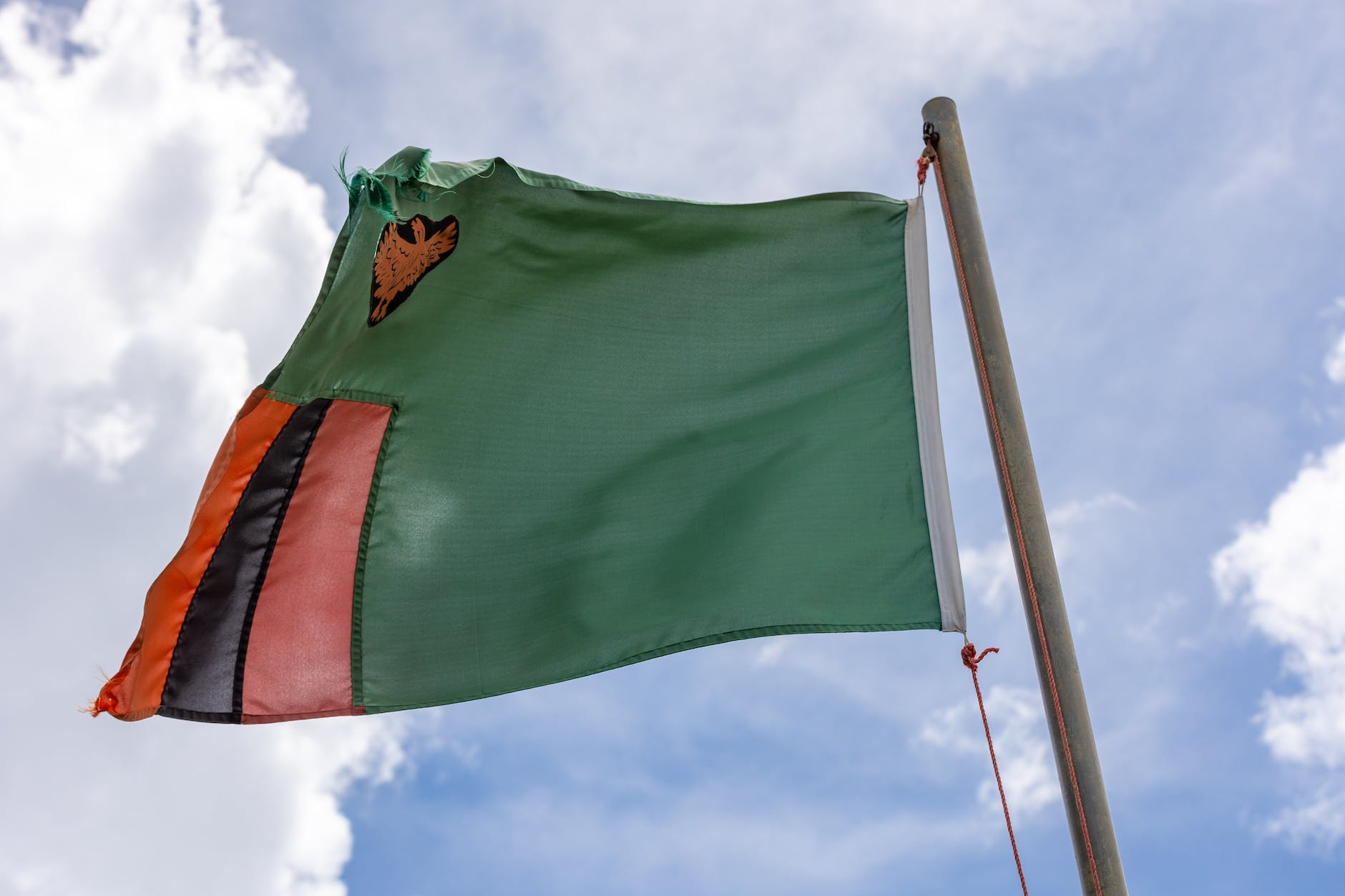 flag of zambia on wind