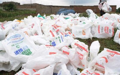 Kenya Takes Strides Against Plastic Pollution with Ban on Plastic Bags for Organic Waste Collection